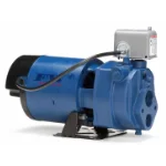 Flint and Walling Pumps